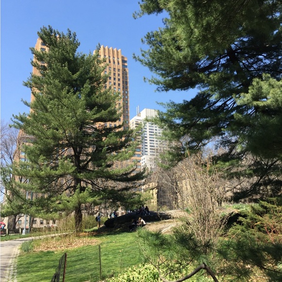 Meet your Posher, Loulisworld - Picture 2 of 5